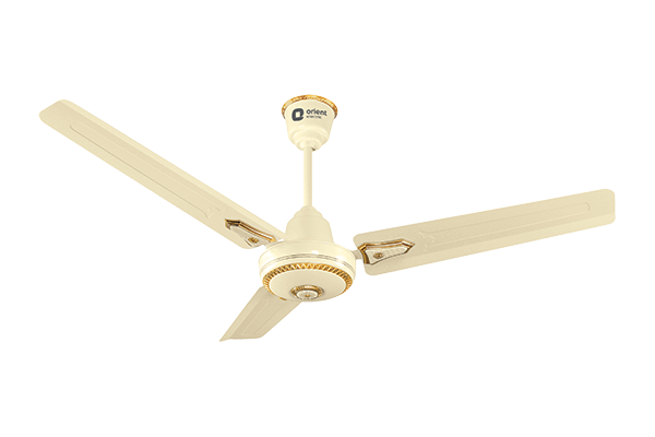 Summer Delite Ornamental Premium Ceiling Fan