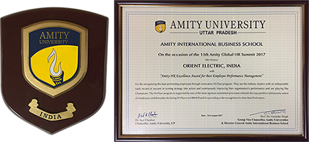 Amity HR Excellence Award 2017